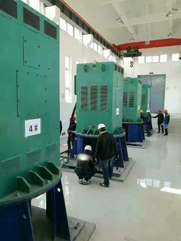 YKS5603-2某污水处理厂使用我厂的立式高压电机安装现场