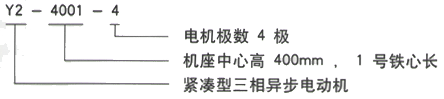 YR系列(H355-1000)高压YKS5603-2三相异步电机西安西玛电机型号说明